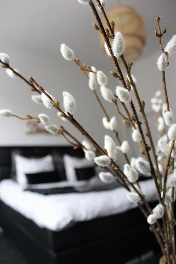Suite Cesar Gent Bagian luar foto